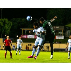 O Londrina volta a empatar desta vez com o Guarani no Estádio do Café e as chances de permanecer na Série B são remotas